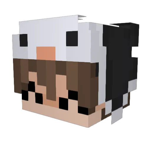 LyricWharf28330 Minecraft avatar head, 3D render