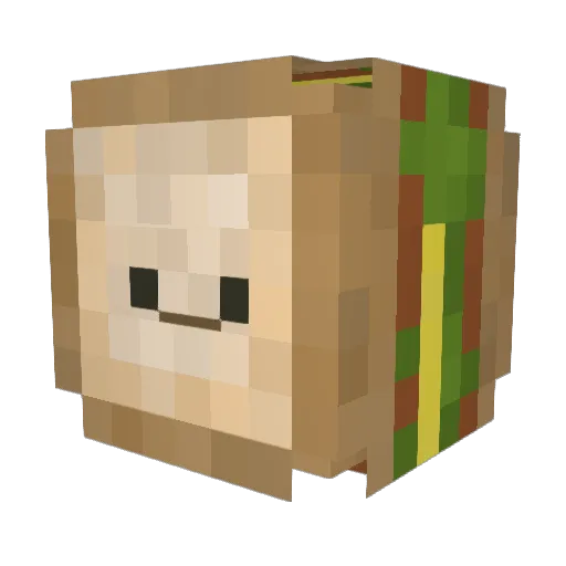 Lyriendriell Minecraft avatar head, 3D render