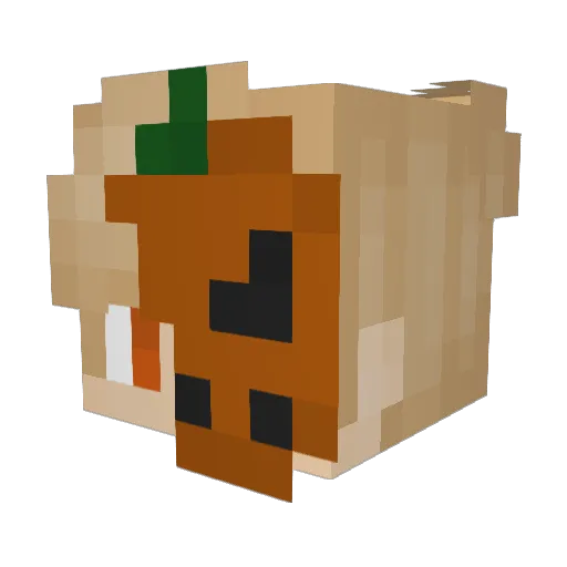 Lyrosion Minecraft avatar head, 3D render
