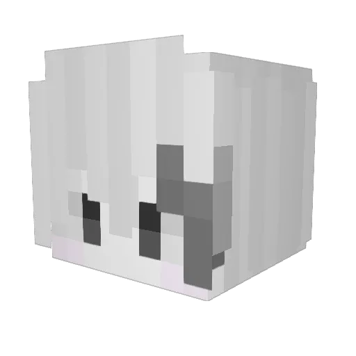 LyseNa02 Minecraft avatar head, 3D render