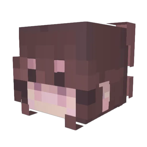 Lysoriagg Minecraft avatar head, 3D render