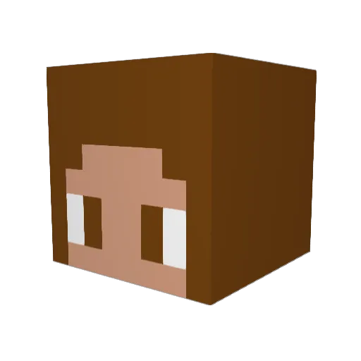 Lyssa06 Minecraft avatar head, 3D render