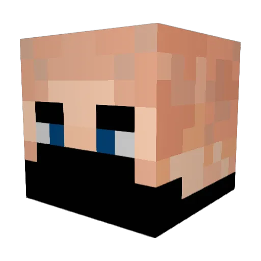 Lysy061 Minecraft avatar head, 3D render