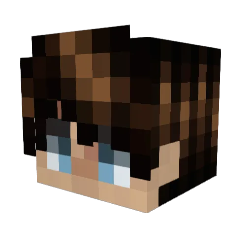 LysyCelneOko Minecraft avatar head, 3D render