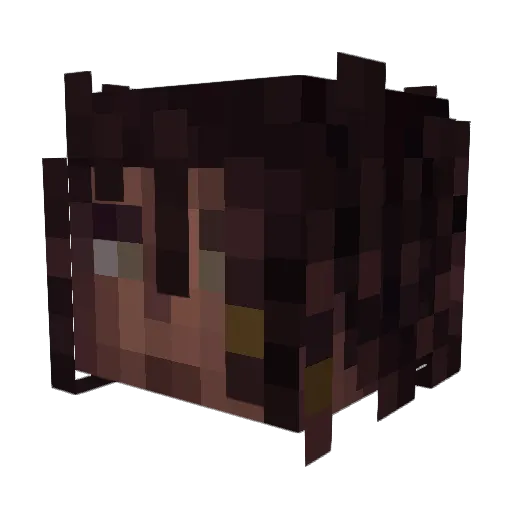 Lyte0_0 Minecraft avatar head, 3D render