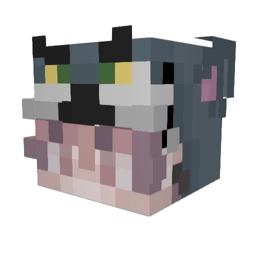 Lythe232 Minecraft avatar head, 3D render