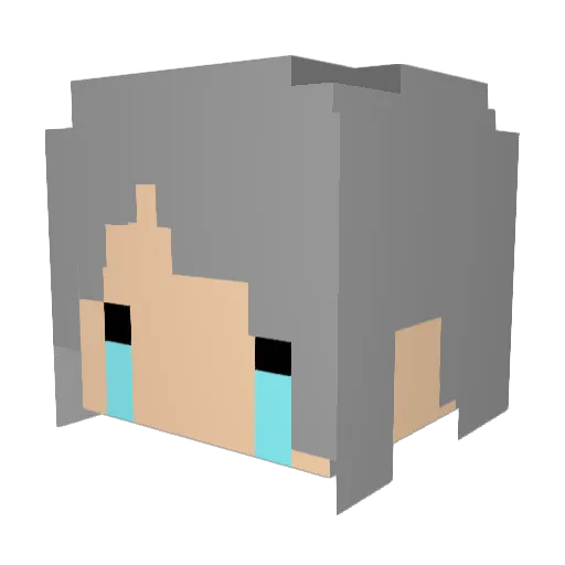 Lytle0419 Minecraft avatar head, 3D render