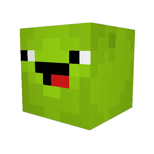LytseMon Minecraft avatar head, 3D render