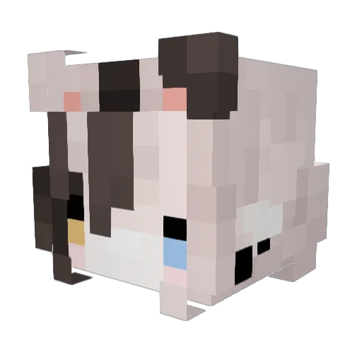 Lyubittle Minecraft avatar head, 3D render