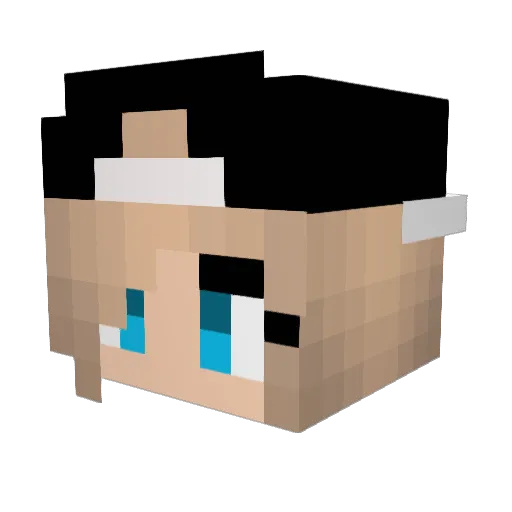 Lyux1e Minecraft avatar head, 3D render