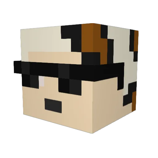 Lywitz Minecraft avatar head, 3D render
