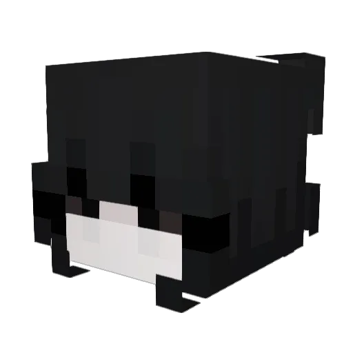 Lyxaaaa Minecraft avatar head, 3D render