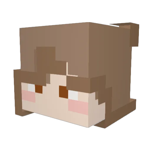 Lyzbuttercup Minecraft avatar head, 3D render