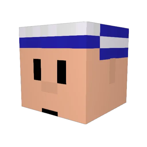 M00nl1ghter Minecraft avatar head, 3D render