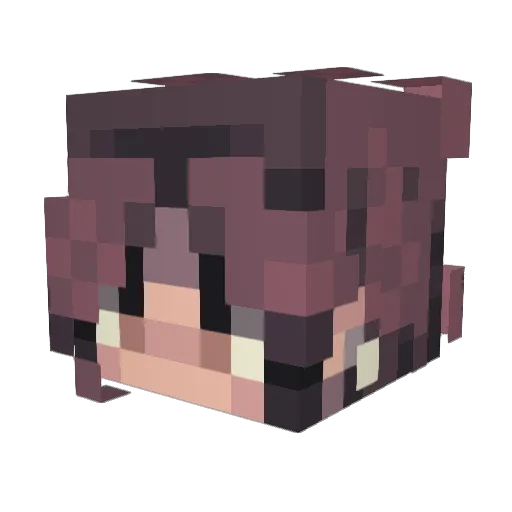 M00shr00m240 Minecraft avatar head, 3D render