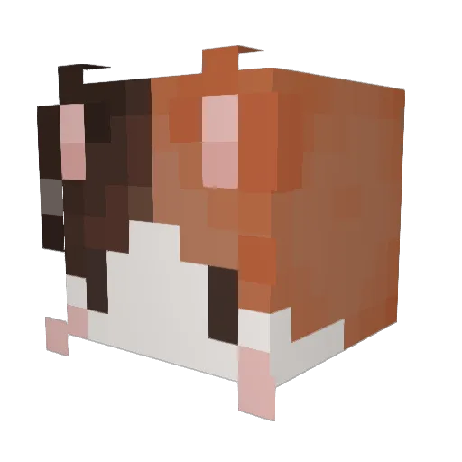 M0THR0TT Minecraft avatar head, 3D render