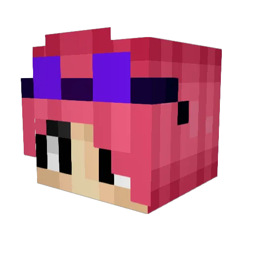 M0j011111 Minecraft avatar head, 3D render