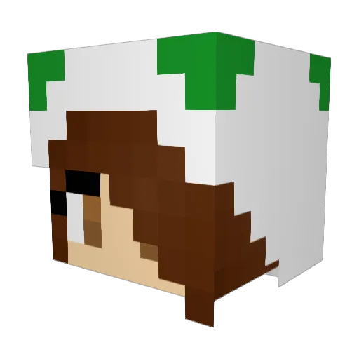M0nja11 Minecraft avatar head, 3D render