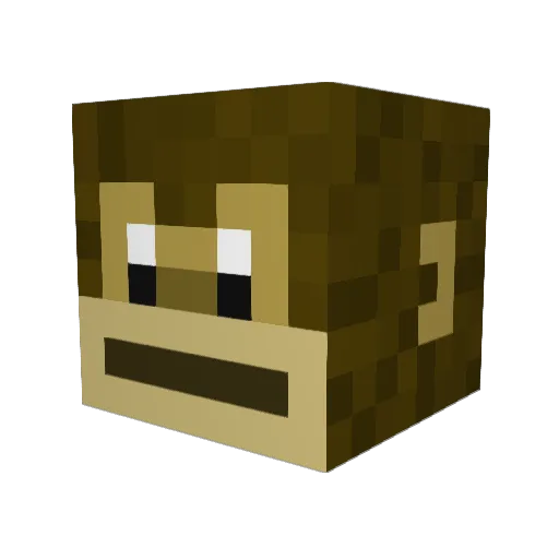 M0nkiBoi Minecraft avatar head, 3D render