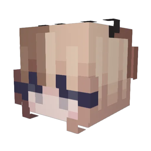M0thsquit0 Minecraft avatar head, 3D render