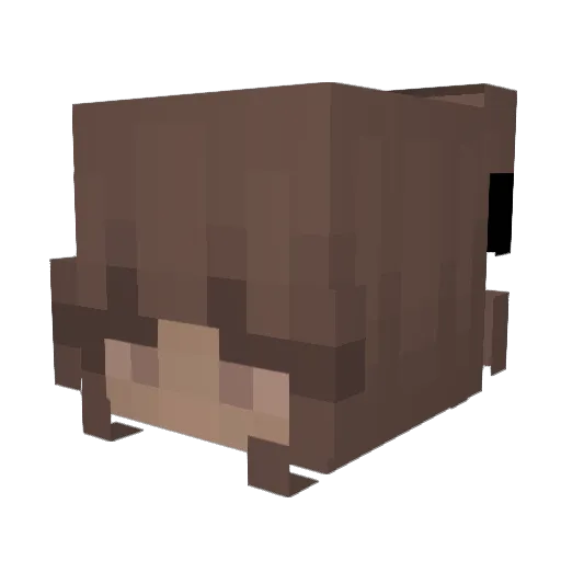 M1_E Minecraft avatar head, 3D render