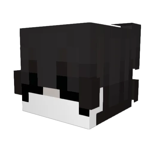 M1_SHAWN Minecraft avatar head, 3D render
