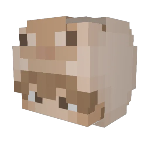 M36B0T Minecraft avatar head, 3D render