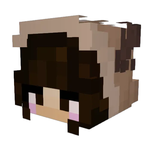 M3atBa112 Minecraft avatar head, 3D render