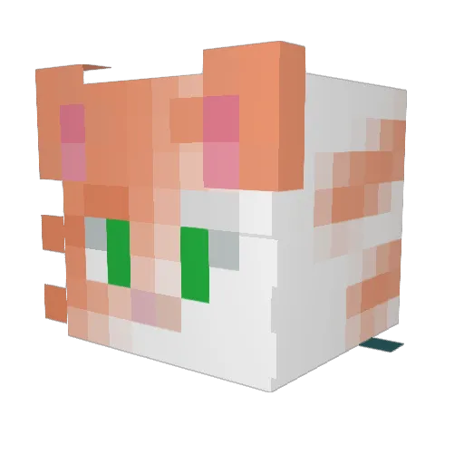 M3d1Vak Minecraft avatar head, 3D render