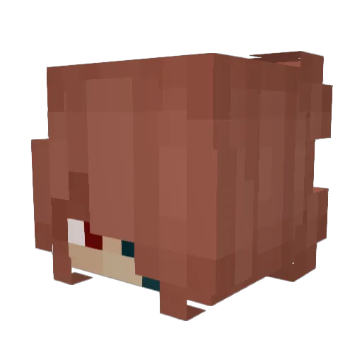 M3ei Minecraft avatar head, 3D render