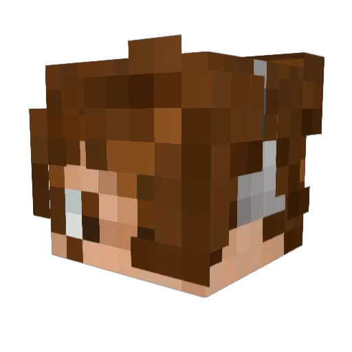M3idax1376 Minecraft avatar head, 3D render