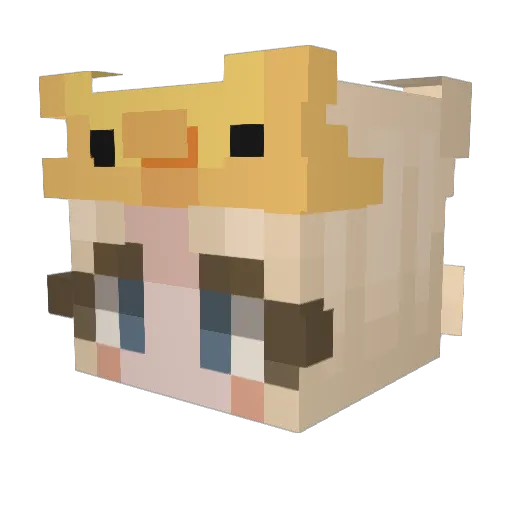 M3ssG4ki Minecraft avatar head, 3D render