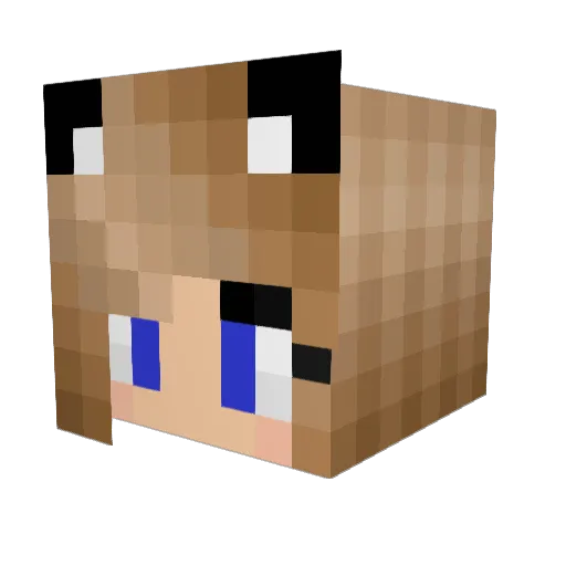 M3th0D84 Minecraft avatar head, 3D render