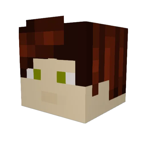 M3troVoid Minecraft avatar head, 3D render