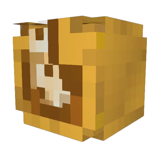 M3tronette Minecraft avatar head, 3D render