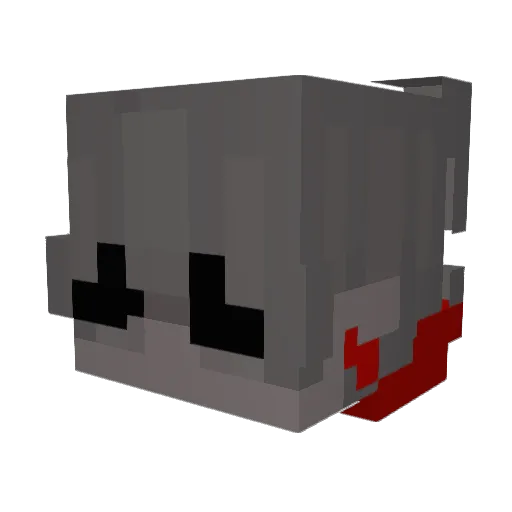 M4DNESS_ENJ0YER Minecraft avatar head, 3D render