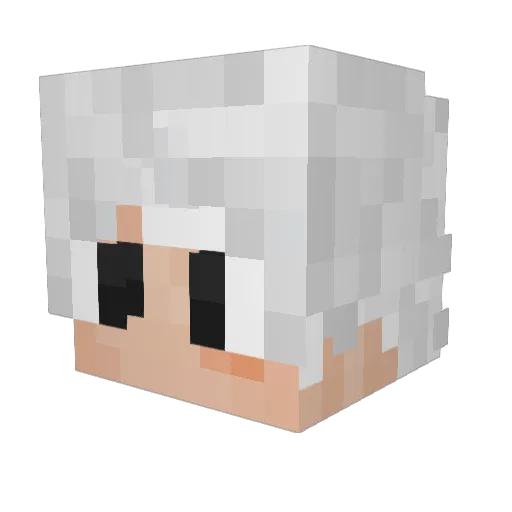 M4ster0Dis4ster Minecraft avatar head, 3D render