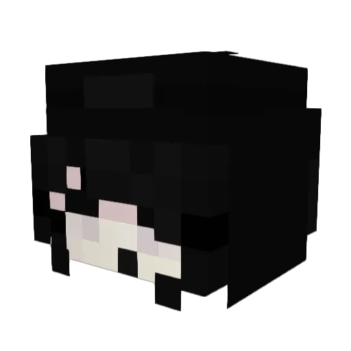 M4sterocto Minecraft avatar head, 3D render