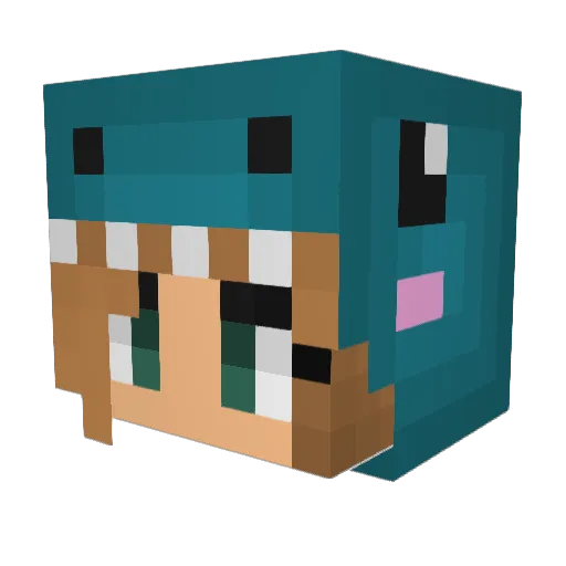 M4tt3h_ Minecraft avatar head, 3D render