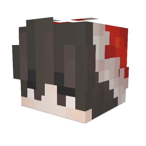 M4ximilian06 Minecraft avatar head, 3D render