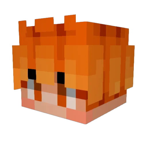 M8NewBenji Minecraft avatar head, 3D render