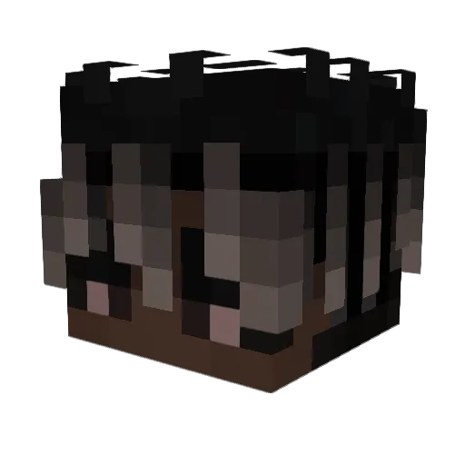 M8_kamo Minecraft avatar head, 3D render
