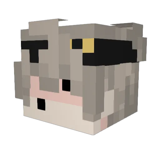 MA5TERJOE15 Minecraft avatar head, 3D render