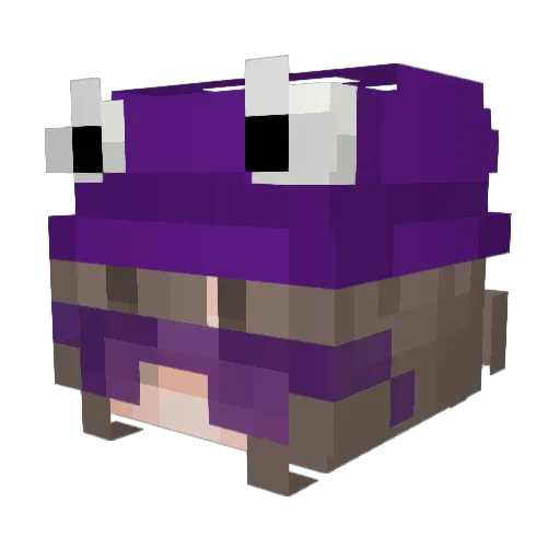 MACELLI Minecraft avatar head, 3D render