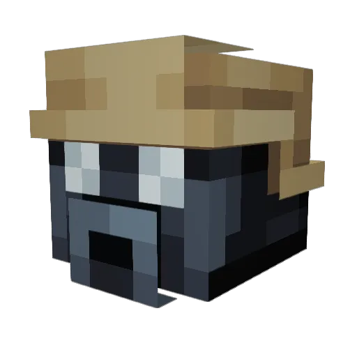 MACYBZ Minecraft avatar head, 3D render