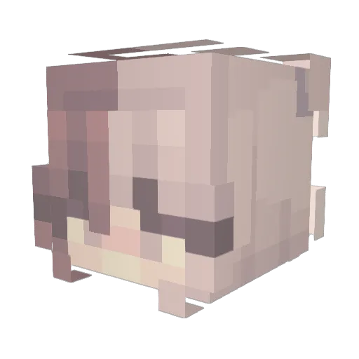 MAD4004 Minecraft avatar head, 3D render