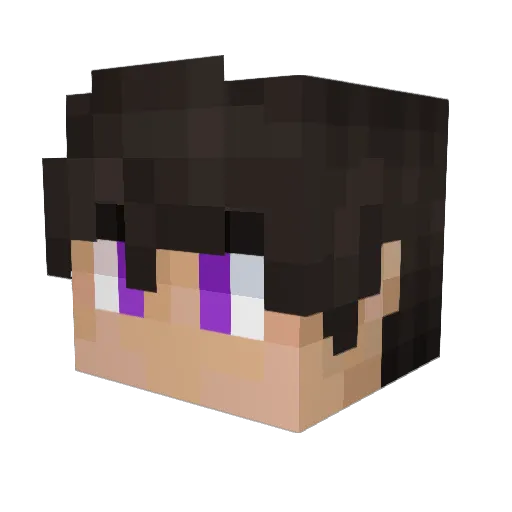 MAD5204 Minecraft avatar head, 3D render