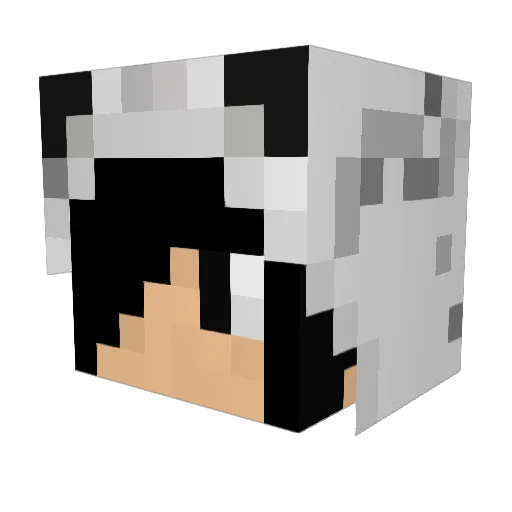 MADAVISSON21 Minecraft avatar head, 3D render
