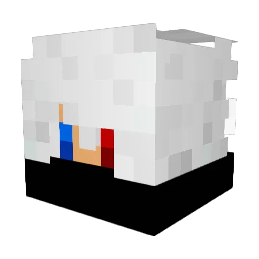 MAG0_BR Minecraft avatar head, 3D render