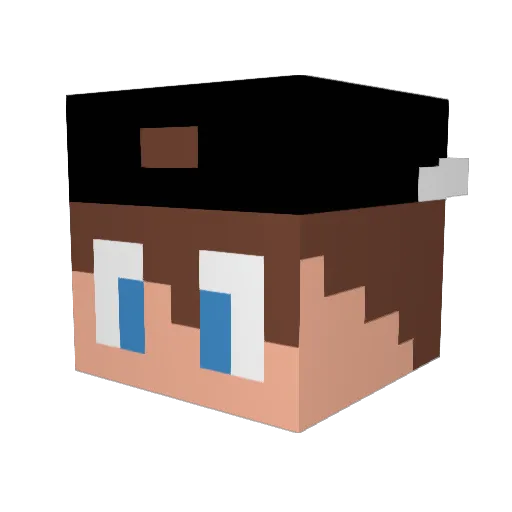 MAGESTRADOERICYT Minecraft avatar head, 3D render